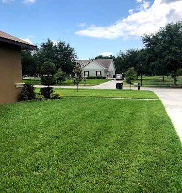 1st Call Lawn Maintenance – lawn care in Tampa