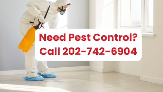 1st Choice Pest Control