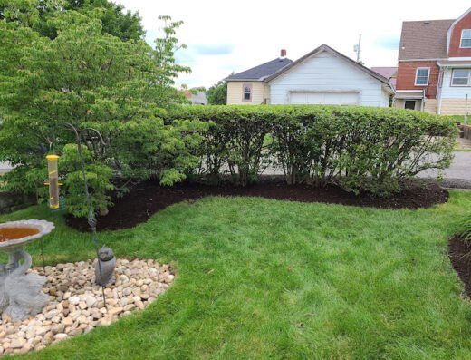 20/20 Landscaping & Tree Service – lawn care in Pittsburgh