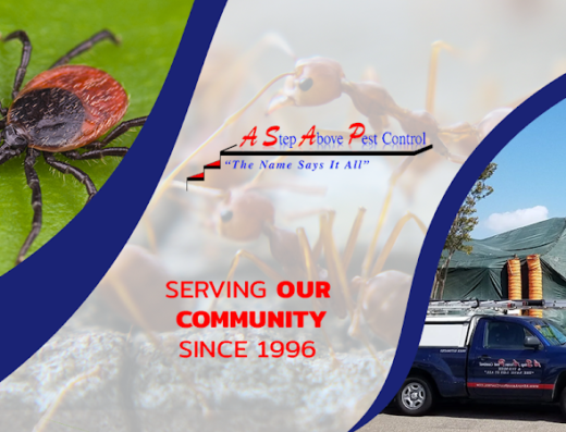 A Step Above Pest Control