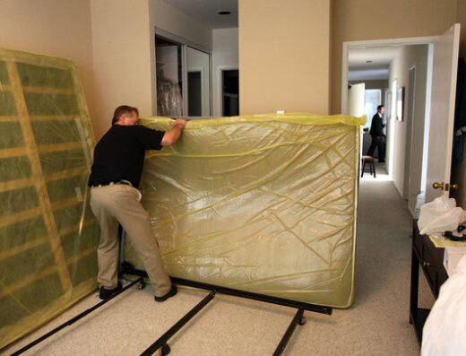 A1 St Louis Bed Bug Exterminator – pest control in St. Louis