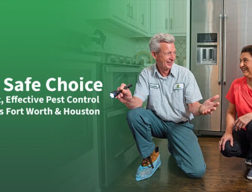 All Safe Pest & Termite