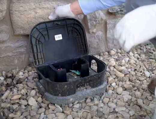 Houston Rodent Control