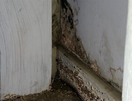 Mold Inspection of Texas, LLC
