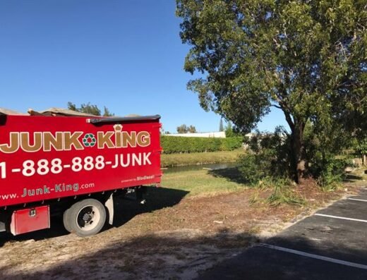 Junk King Chicago North