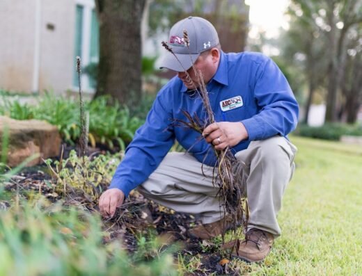 ABC Home & Commercial Services