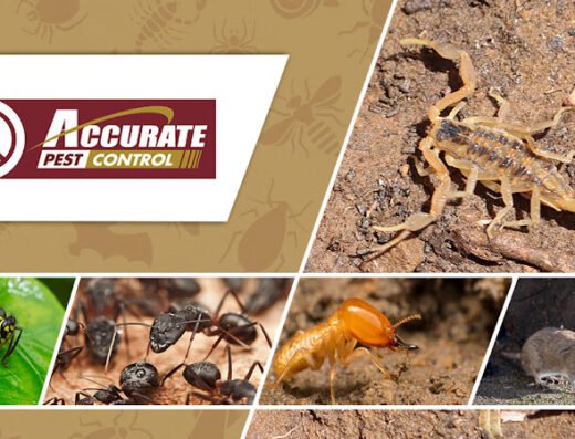 Accurate Pest Control