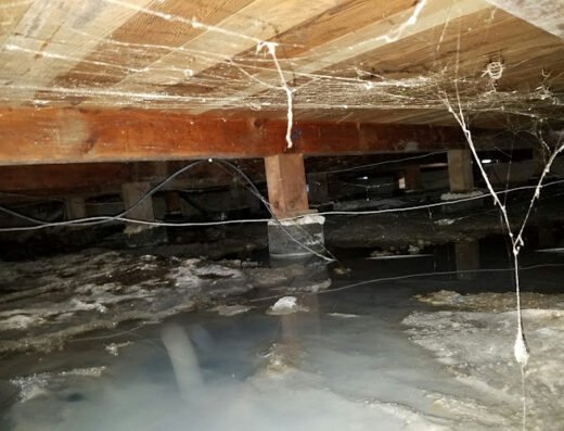 The Water Damage Experts, Incorporated
