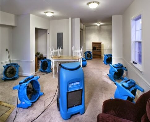 Supraclean Water Damage Specialists