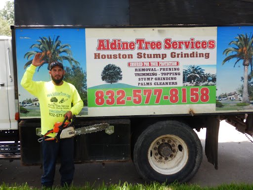 Aldine Tree Services Houston Stump Grinding