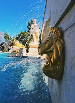 DP Pool Services