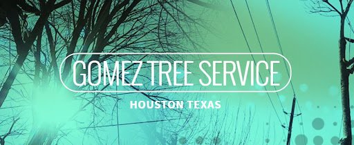 Gomez Tree Service LLC
