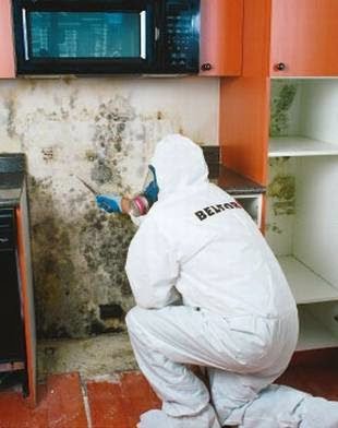BELFOR Property Restoration (San Jose)