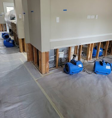 Rapid Restoration Texas