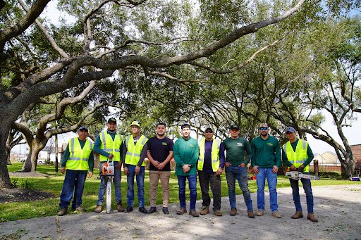 JRP Tree & Demolition Services