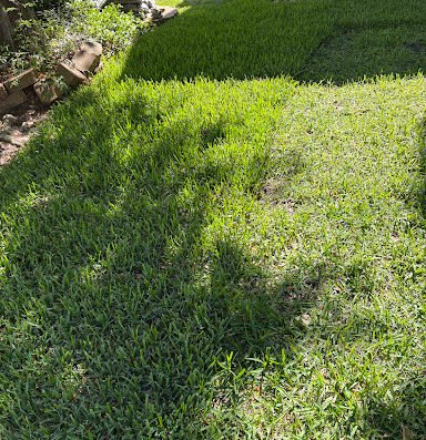 Texas Lawn & Sprinkler Co.