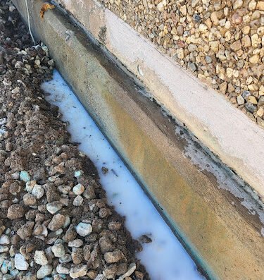 South Belt Pest and Termite, LLC