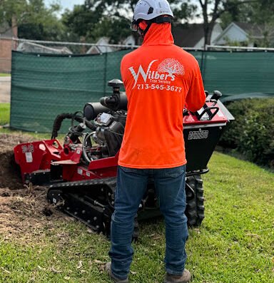 Wilber’s Tree Service