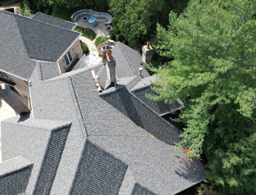 AJS Wildlife Solutions – pest control in St. Louis