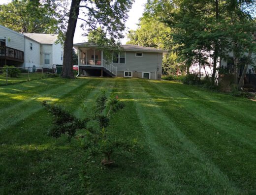 Allen Outdoor Solutions – lawn care in St. Louis