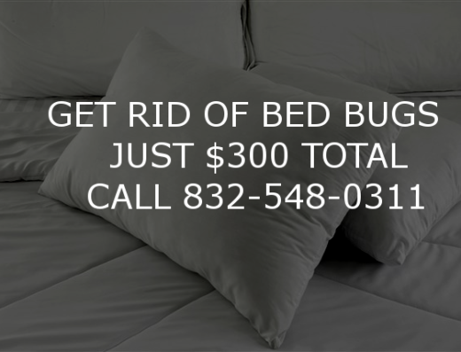 Kill Bed Bugs Houston
