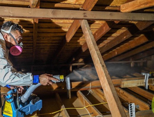 AQE Attic