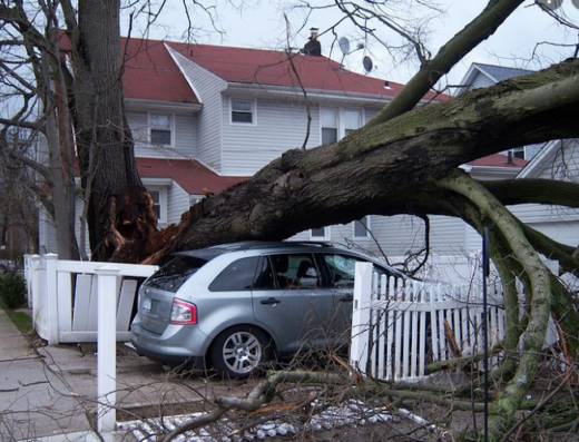 EZ Lakewood Junk Removal
