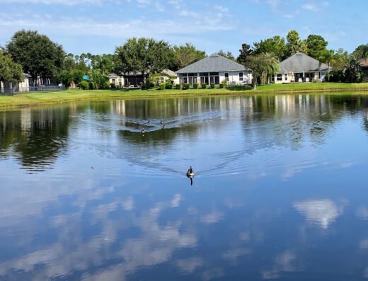 Local Home Inspections LLC