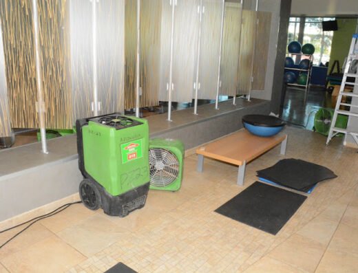 SERVPRO of Arlington / Jacksonville East