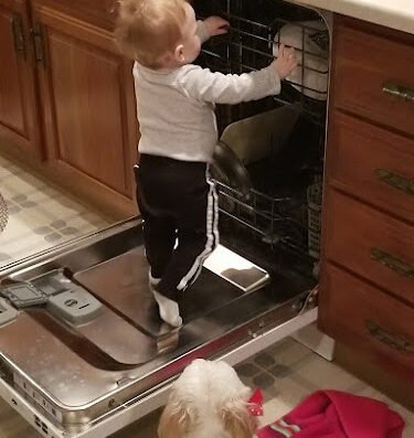 Appliance Rescue Service