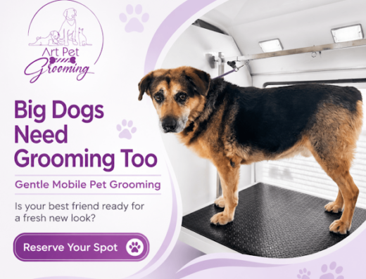 Art Pet Mobile Grooming