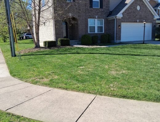 Ascension Care, LLC. – lawn care in Cincinnati (photo 1)