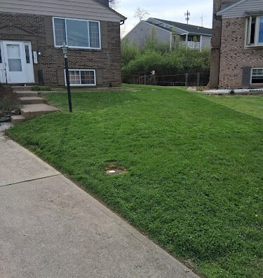 Ascension Care, LLC. – lawn care in Cincinnati