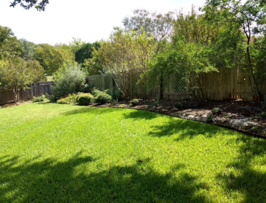 ATX Tree Fence & Lawn