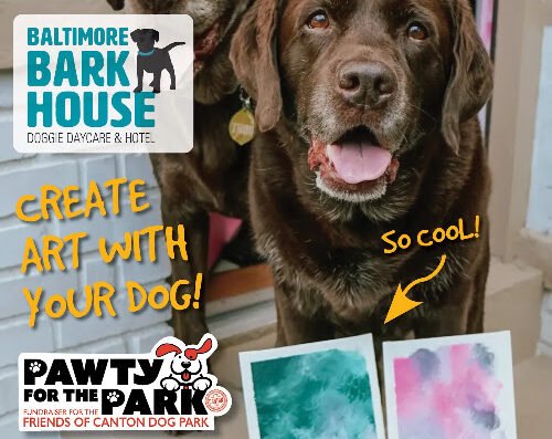Baltimore Bark House – pet care in Baltimore
