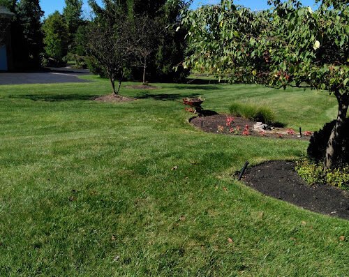 Barnes Complete Lawn Care Service LLC – lawn care in Columbus