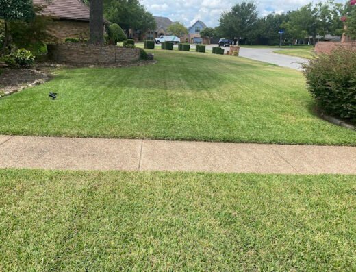 BDH Lawn Care Services