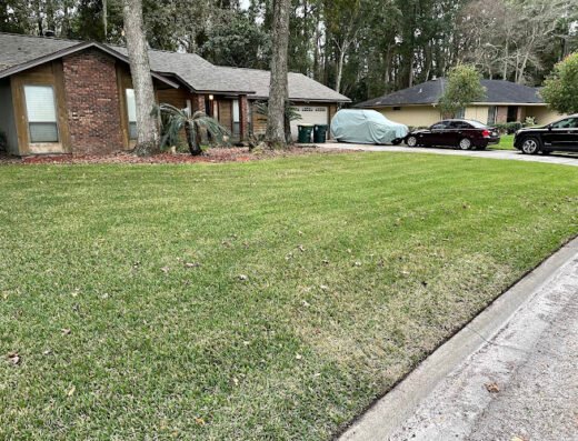 Beast Mode Lawn Care