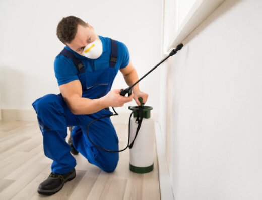 Bed Bug Exterminator Indianapolis