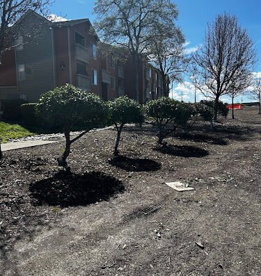 BellaVista Landscape Services, Inc. – Lawn care in San Jose
