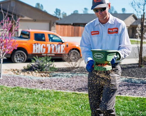 Big Time Pest Control – pest control in Sacramento