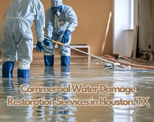 BIONIC Water Damage Restoration of Houston