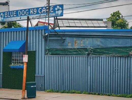 Blue Dog K9 Care – pet care in Cincinnati (photo 1)