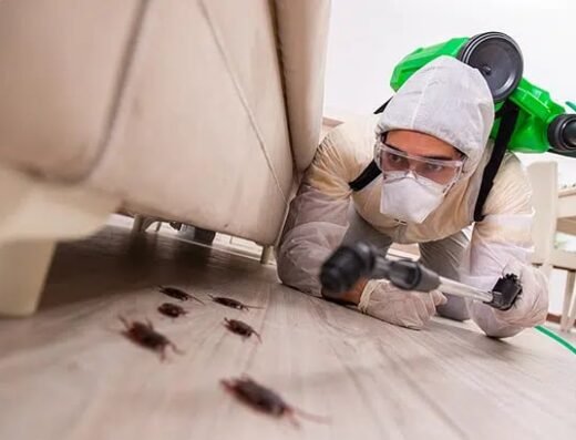 Blue Duck Pest Control – pest control in Indianapolis