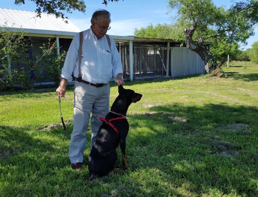 Bluff Boarding Kennels & Cattery