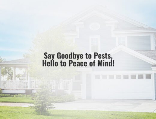 Brandley Pest Control – pest control in Oklahoma City