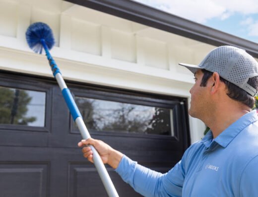 Brooks Pest Solutions