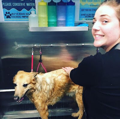 Brookside Barkery & Bath - Brookside – pet care in Kansas City