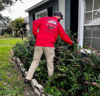 Bug City Pest Management – pest control in Tampa