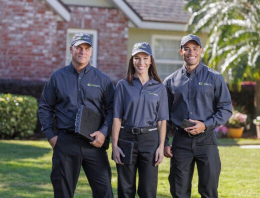 Bug Out – pest control in St. Louis